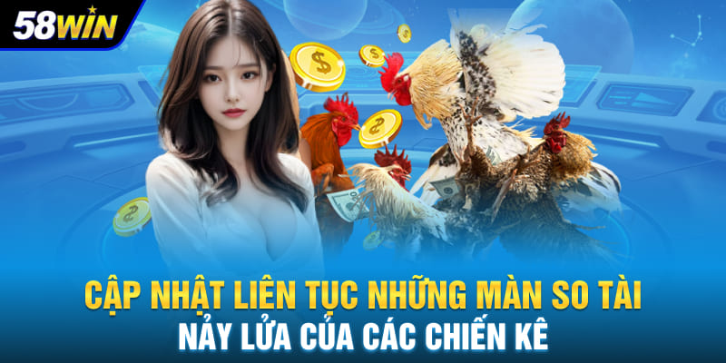 Cập nhật liên tục những màn so tài nảy lửa của các chiến kê