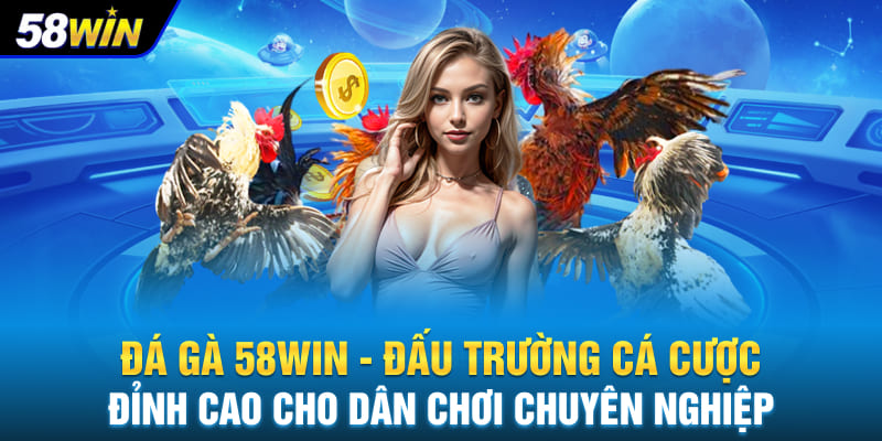 Đá gà 58WIN - Đấu trường cá cược đỉnh cao cho dân chơi chuyên nghiệp