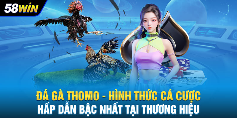 Đá gà Thomo - Hình thức cá cược hấp dẫn bậc nhất tại thương hiệu